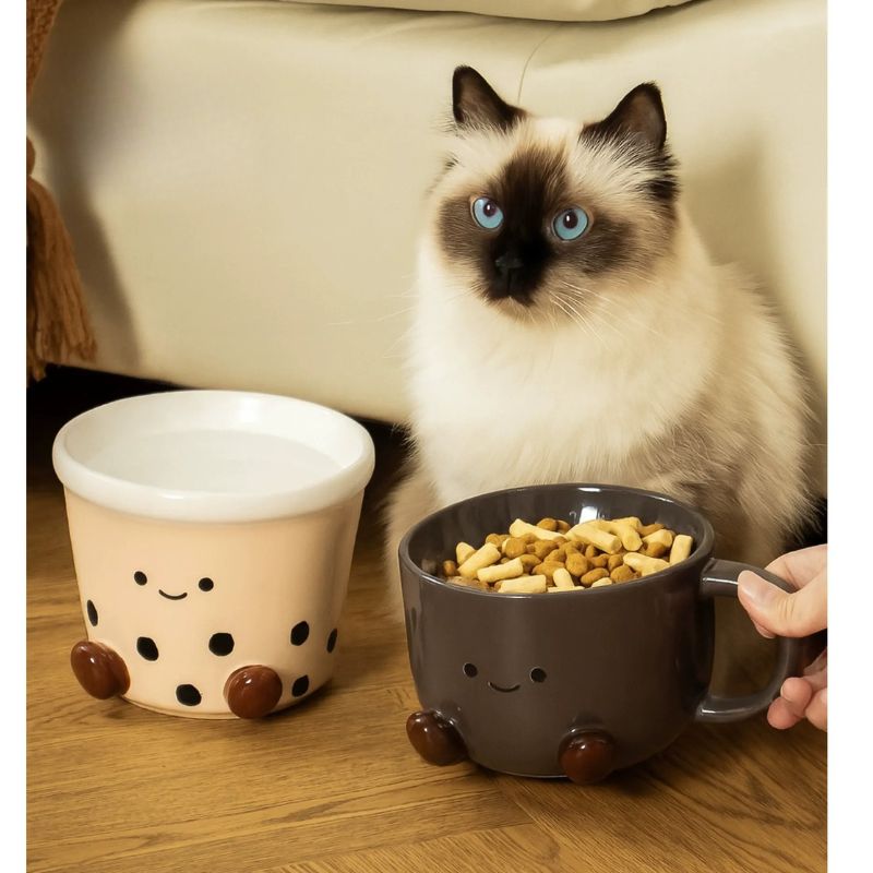 Elevated Ceramic Pet Bowl – Anti-Vomit Tilted Design for Small Dogs & Cats