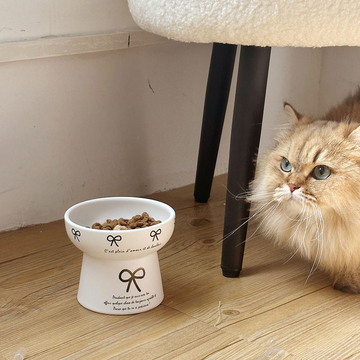 Cute Bow-Decorated Elevated Ceramic Bowl for Pets – Dog and Cat Food Dish