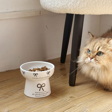 Cute Bow-Decorated Elevated Ceramic Bowl for Pets – Dog and Cat Food Dish