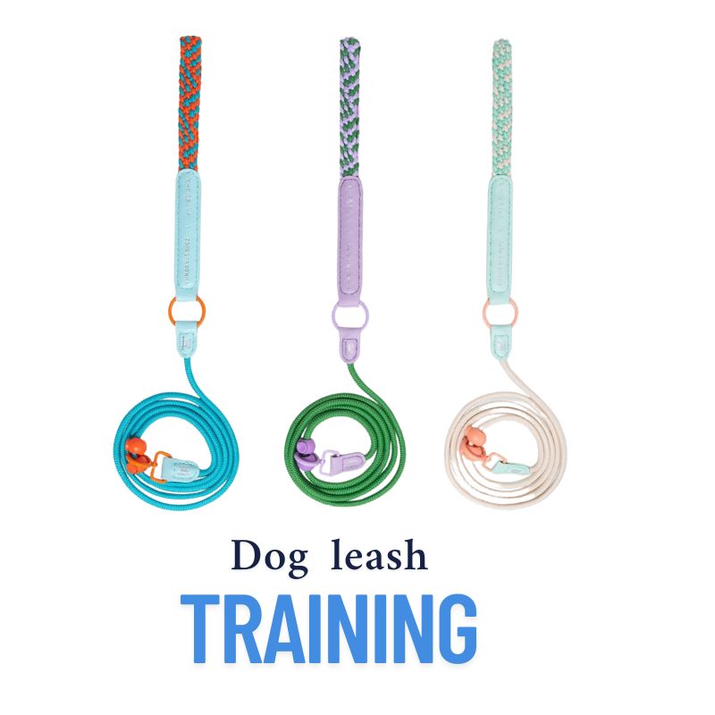 No-Choke Adjustable Dog P Leash – Anti-Pull Training Lead