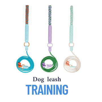 No-Choke Adjustable Dog P Leash – Anti-Pull Training Lead