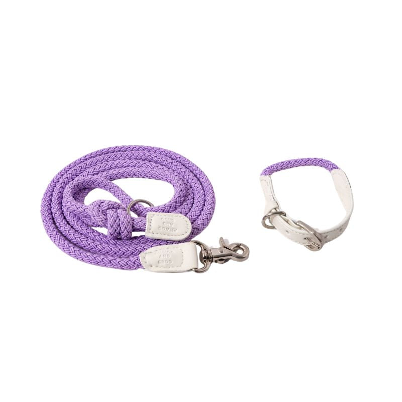 Premium Leather Dog Collar and Leash Set –  Harness for Small & Medium Dogs