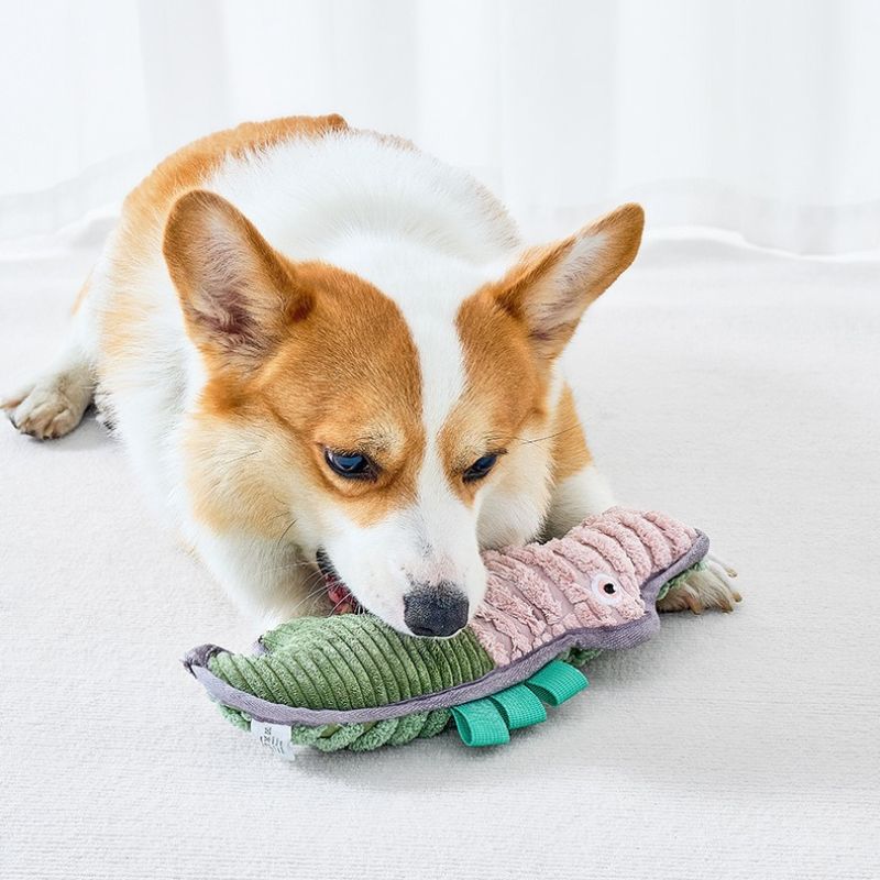 Durable Knotted Rope Chew Toy for Pets – Teeth Cleaning Tug Toy for Dogs and Puppies