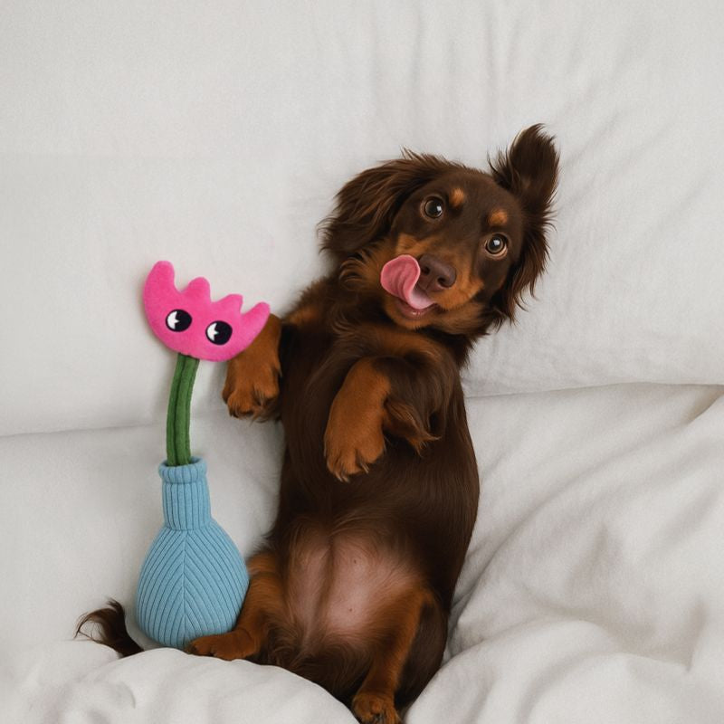 Squeaky Plush Dog Toy – Interactive Chew Toy for Dogs of All Sizes