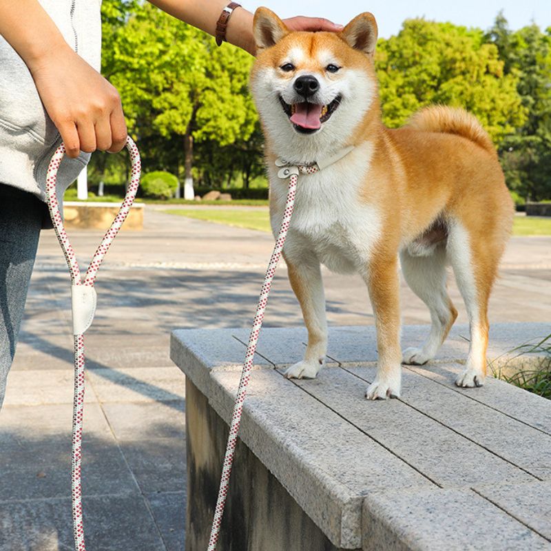Dog P-Leash | 150cm Climbing-Grade Rope Anti-Pull Leash for Training & Heel Control