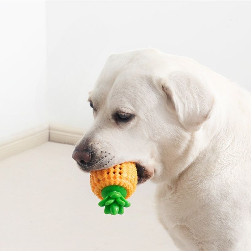 Treat Dispensing Chew Toy for Pets – Interactive Puzzle Food Feeder Toy for Dogs and Cats