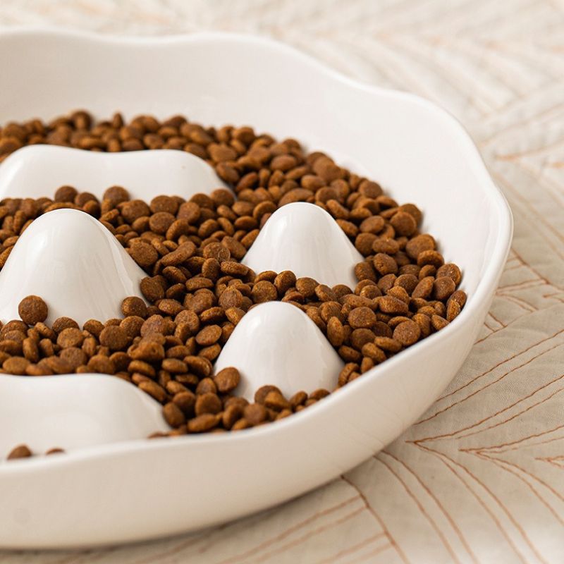 Ceramic Slow Feeder Bowl for Medium & Large Dogs | Anti-Choke