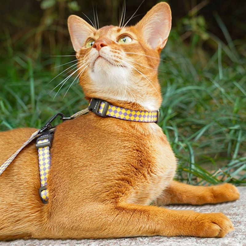 Cat Outdoor Safety Leash – Escape-Proof Adjustable Pet Harness and Leash Set