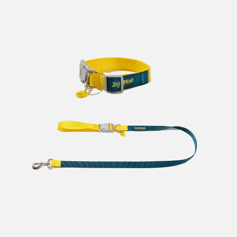 Multi-Functional Dog Leash Set with Quick-Release Handle