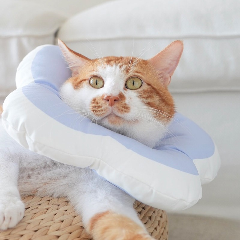 Soft Adjustable E-Cone – Post-Surgery Pet Protector