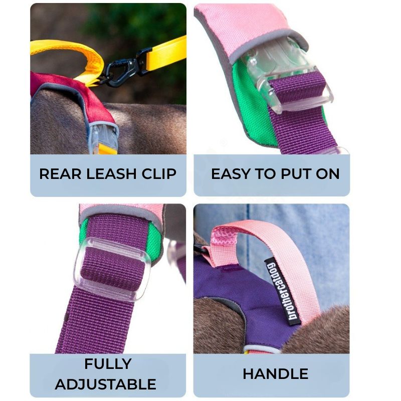 All-Breed Adjustable dog Harness