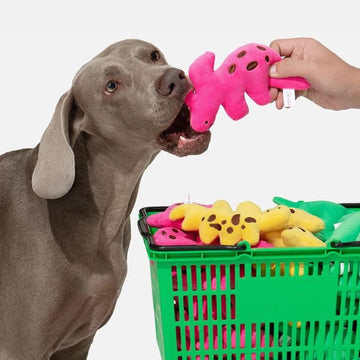 Soft Dinosaur Squeaky Toy – Chewable Plush Pet Toy for Small & Medium Dogs