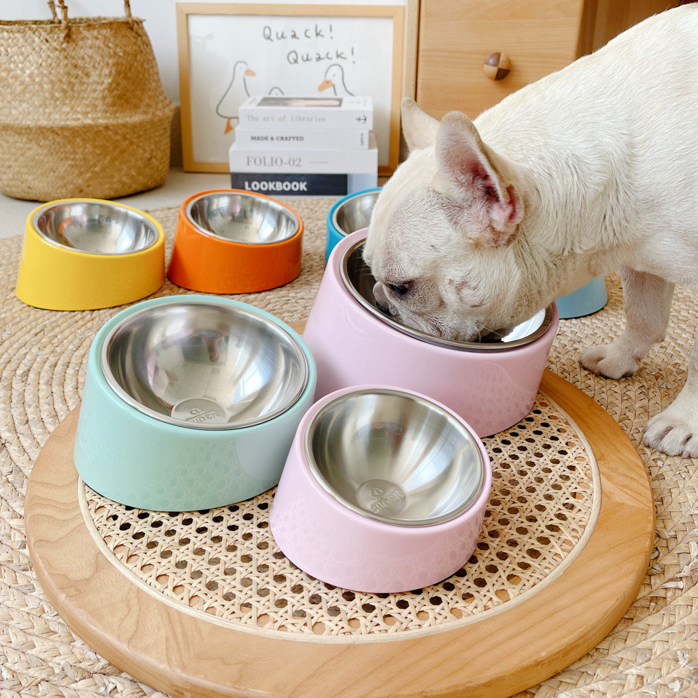 Tilted Stainless Steel Pet Bowl Non-Slip Feeding Dish for Cats & Dogs