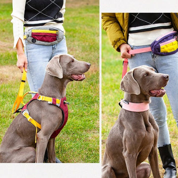 2-in-1 Hands-Free Pet Leash｜Handheld or Waist-Wearable with Storage Waist Pack｜Ideal for Jogging & Daily Walks