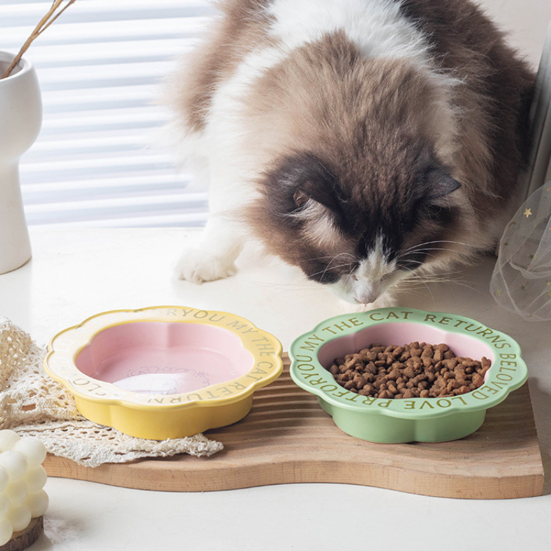 6-Inch Ceramic Cat Plate 200ml – Matte Finish Pet Bowl for Cats & Small Dogs