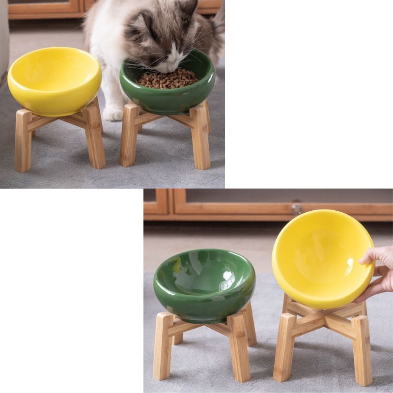 Vibrant Underglaze Ceramic Pet Bowl ｜Elevated Underglaze Feeder