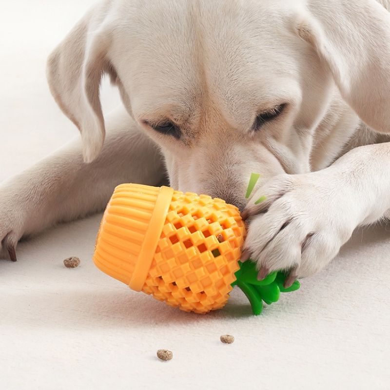 Treat Dispensing Chew Toy for Pets – Interactive Puzzle Food Feeder Toy for Dogs and Cats
