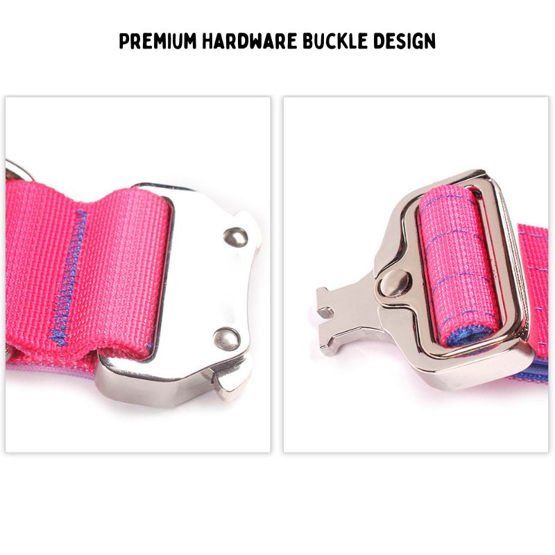 2pcs Premium Gradient Dog Collar Set – Stylish & High-Quality