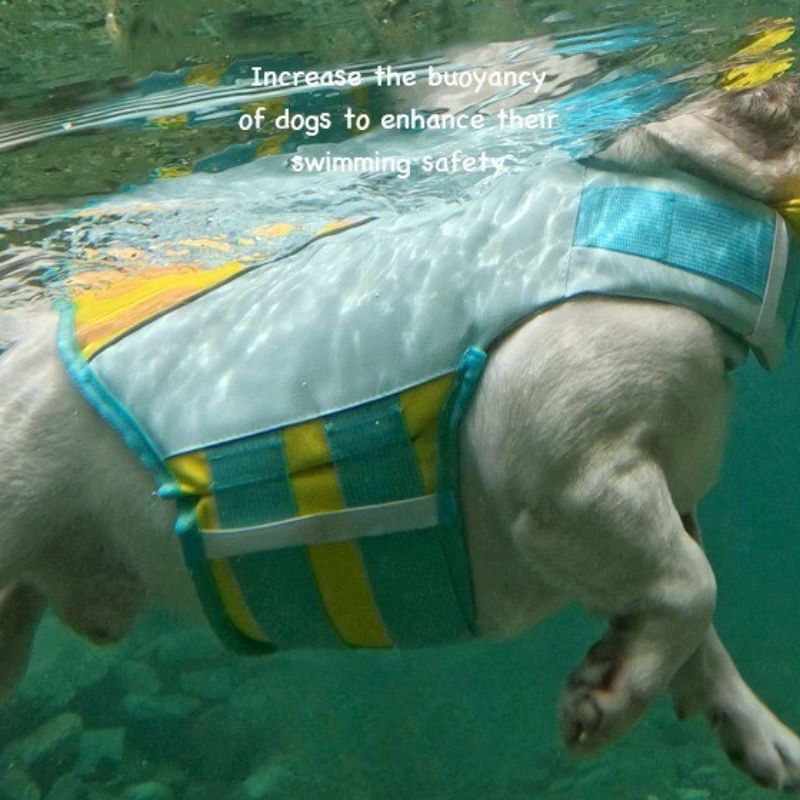 Dog Life Jacket – Safety Swim Vest with Rescue Handle, Adjustable Buckles, Multiple Sizes – view 9