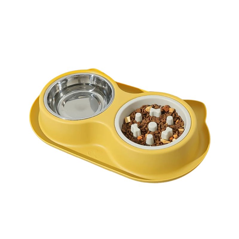 Anti-Ant Elevated Pet Bowl Set | Slow Feed + Water Bowl with Spill-Resistant Base