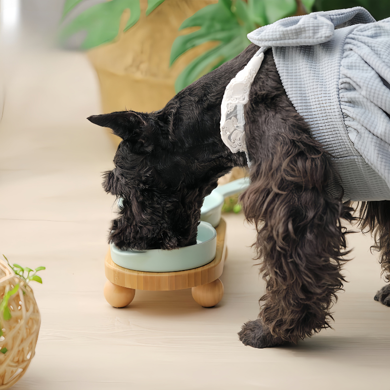 Bamboo Elevated Pet Bowl Stand – Natural Wooden Base for 5–6 Inch Bowls
