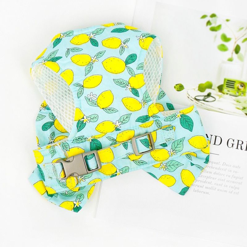 Adjustable Harness for Small Pets – Soft & Breathable Pet Vest for Cats and Small Dogs, Secure Chest Strap, Easy to Wear
