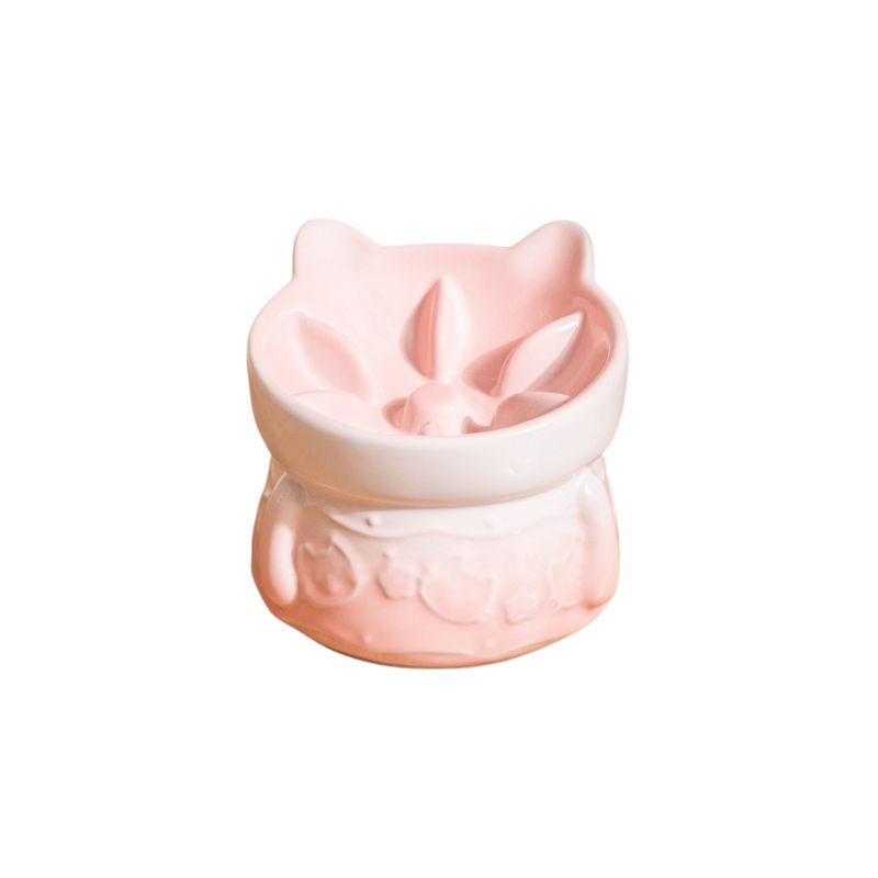 Elevated Ceramic Slow Feeder Bowl cat&small dog｜Anti-Choke Raised Dish