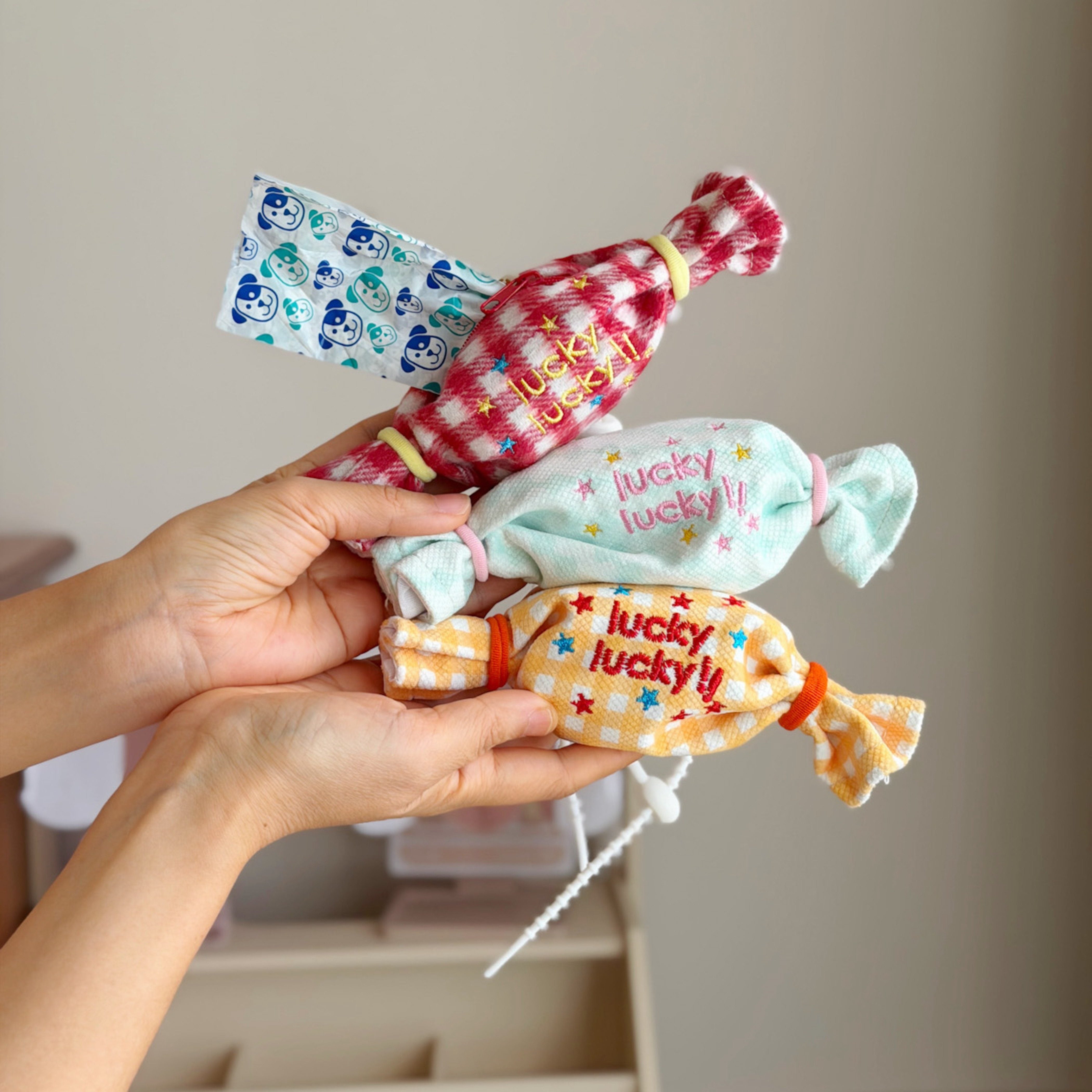 Portable Dog Poop Bag Dispenser with Hook for Walking