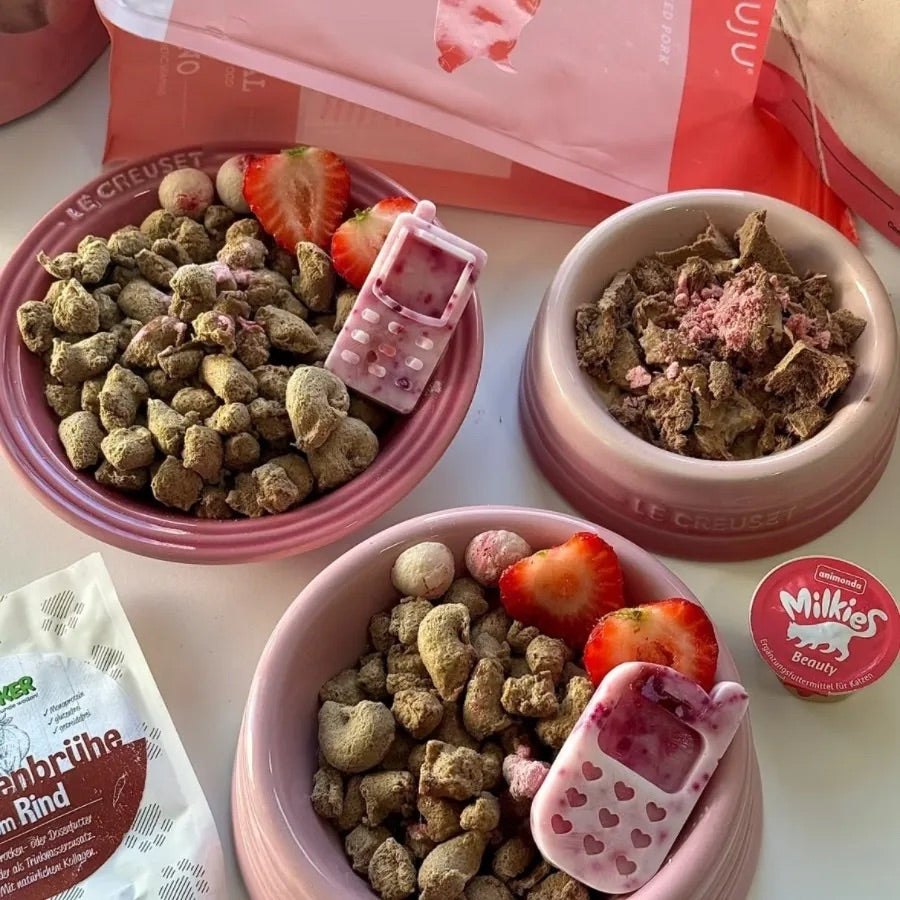 Elegant Ceramic Pet Dish – Safe, Durable, and Easy to Clean cat&dog