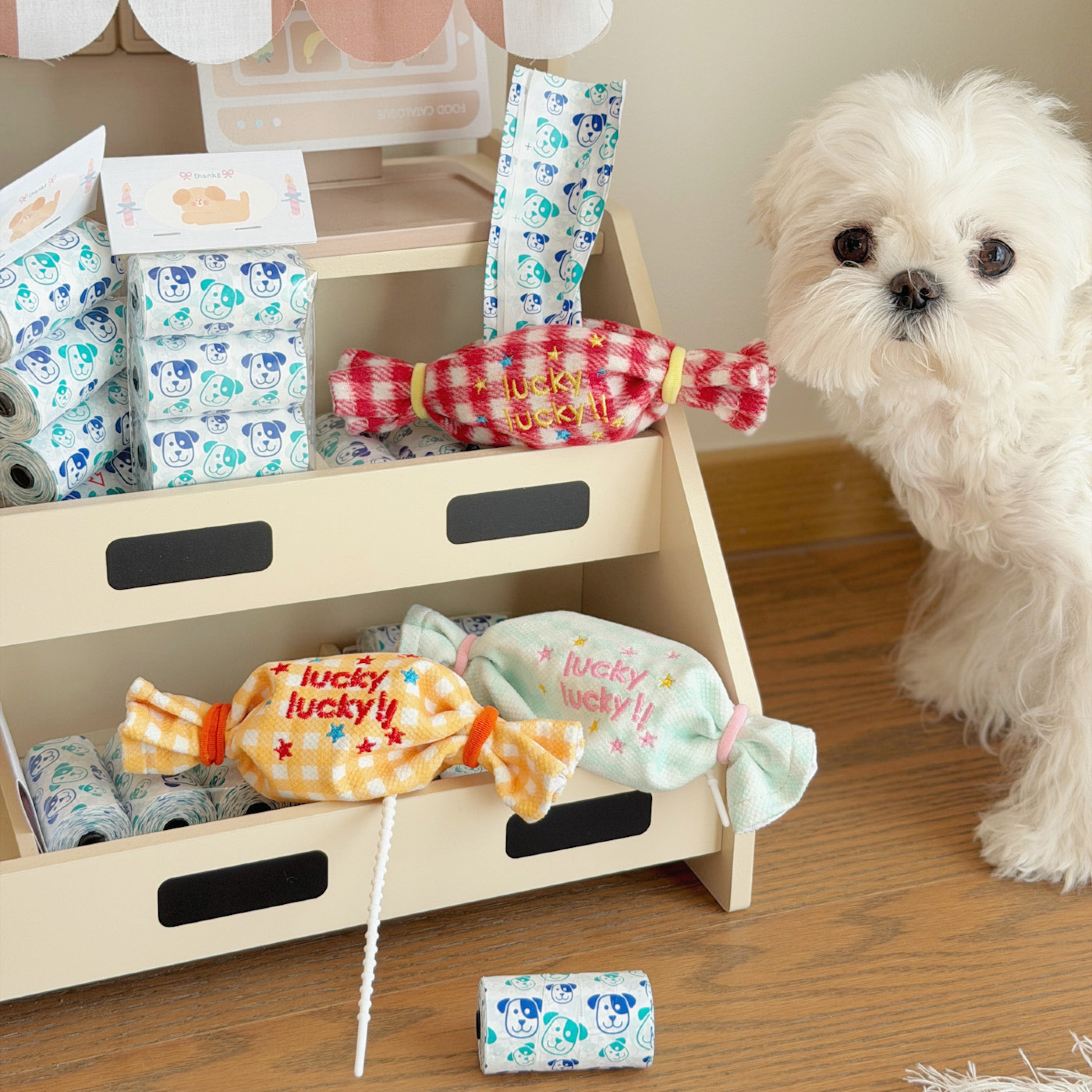 Portable Dog Poop Bag Dispenser with Hook for Walking