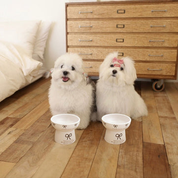 Cute Bow-Decorated Elevated Ceramic Bowl for Pets – Dog and Cat Food Dish