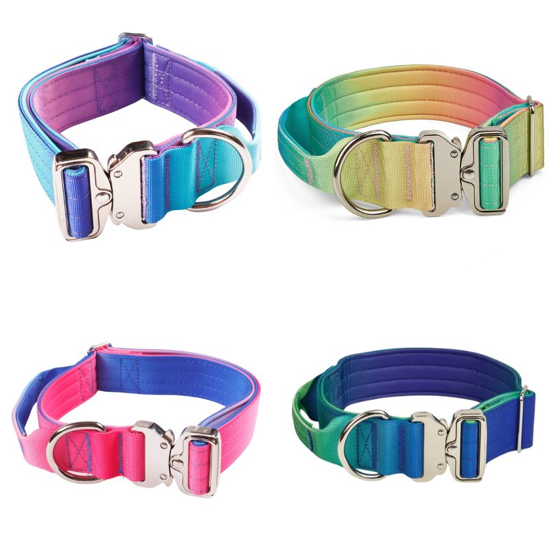 2pcs Premium Gradient Dog Collar Set – Stylish & High-Quality