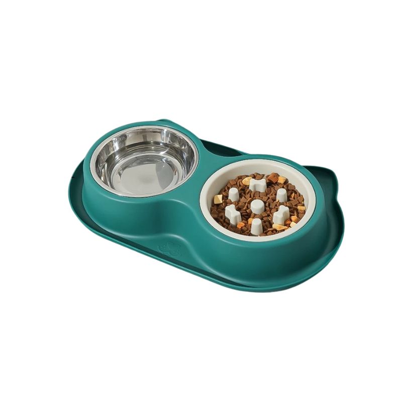 Anti-Ant Elevated Pet Bowl Set | Slow Feed + Water Bowl with Spill-Resistant Base