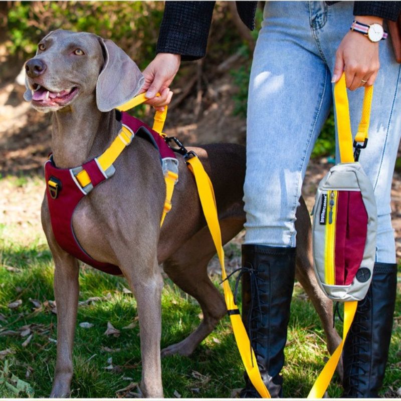 2-in-1 Hands-Free Pet Leash｜Handheld or Waist-Wearable with Storage Waist Pack｜Ideal for Jogging & Daily Walks
