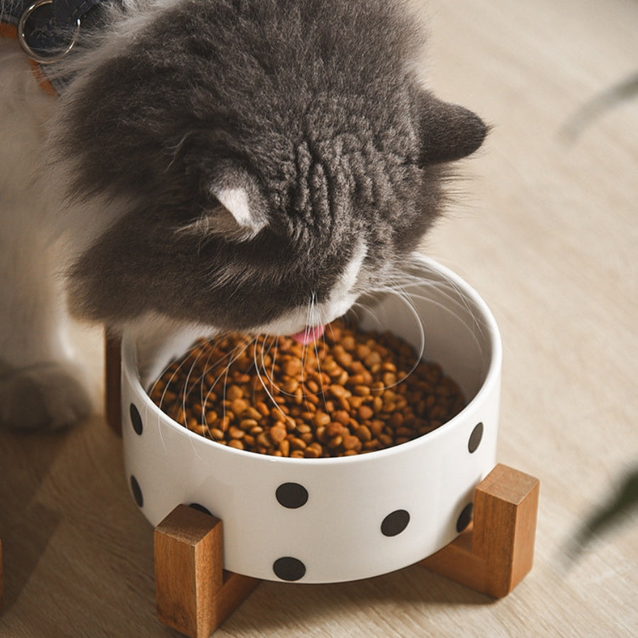 Stylish Ceramic Pet Bowl on Wooden Stand – Modern Line Design