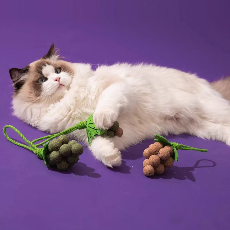 Creative Grape-Shaped Catnip Chew Toy – Stylish Dental Cleaning Toy for Cats with Cat Mint