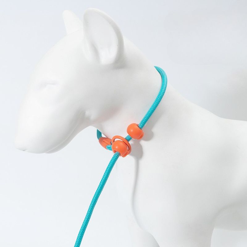 Professional Dog Training Slip Lead – Heavy Duty P Leash with Anti-Pull Control 7mm