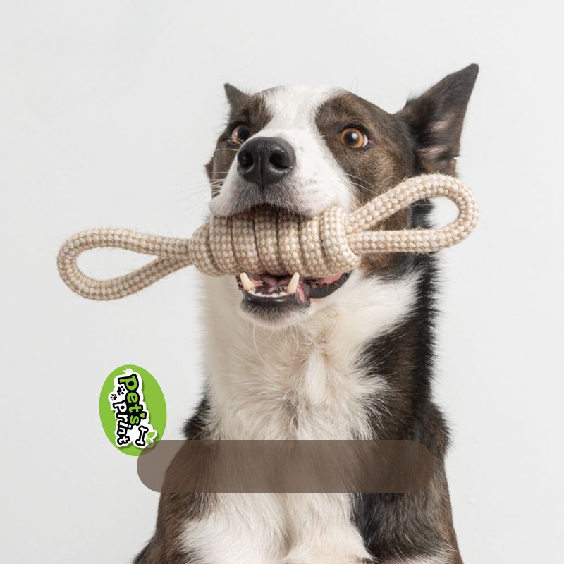 5-Piece Heavy-Duty Cotton Rope Toy Set for Dogs