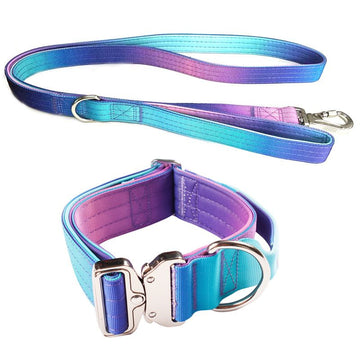 2pcs Premium Gradient Dog Collar Set – Stylish & High-Quality