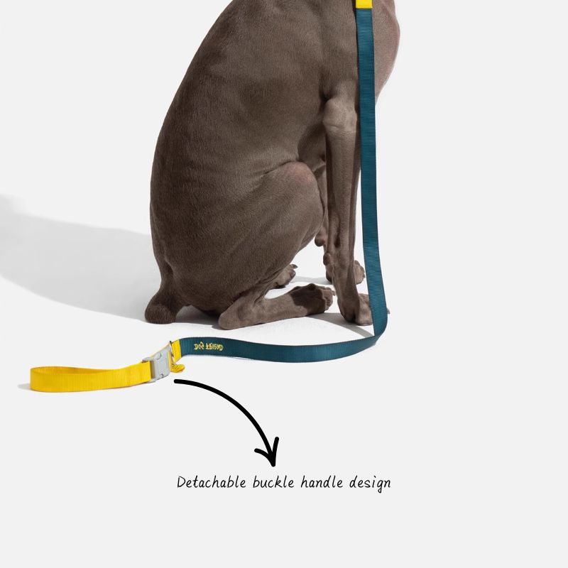 Multi-Functional Dog Leash Set with Quick-Release Handle
