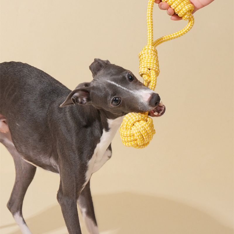 Macaron Rope Dog Toy | Eco-Friendly Cotton Tug & Chew | Dental Care & Interactive Play