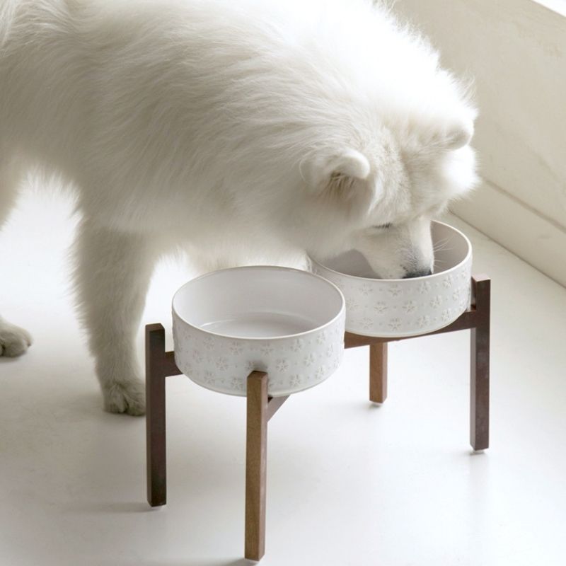 Embossed Ceramic Pet Bowl with Natural Acacia Wood Base Dogs