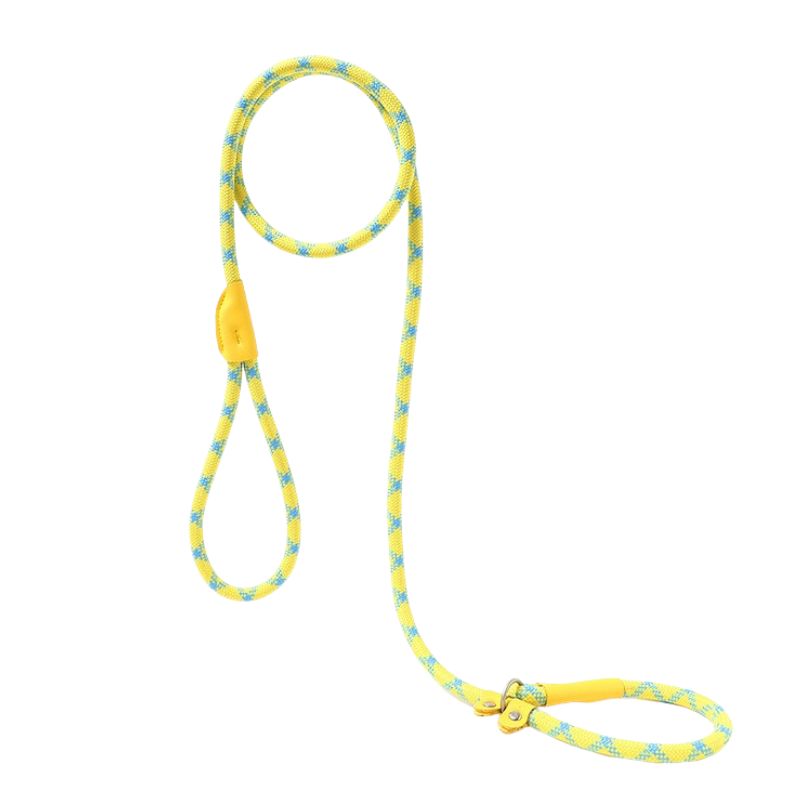Dog P-Leash | 150cm Climbing-Grade Rope Anti-Pull Leash for Training & Heel Control