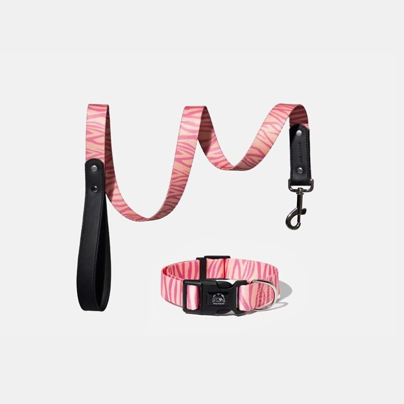 Adjustable Outdoor Dog Collar – Durable Reflective Nylon for Dogs