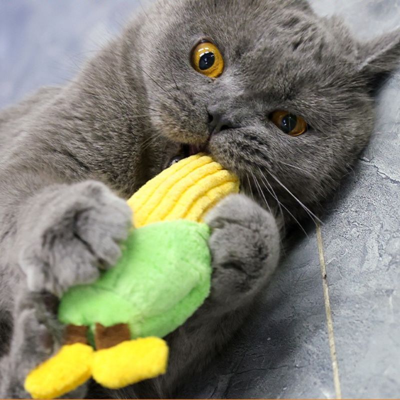 Catnip Crinkle Toy for Cats – MeowBuzz Catnip Crinkle