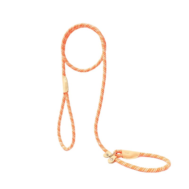 Dog P-Leash | 150cm Climbing-Grade Rope Anti-Pull Leash for Training & Heel Control