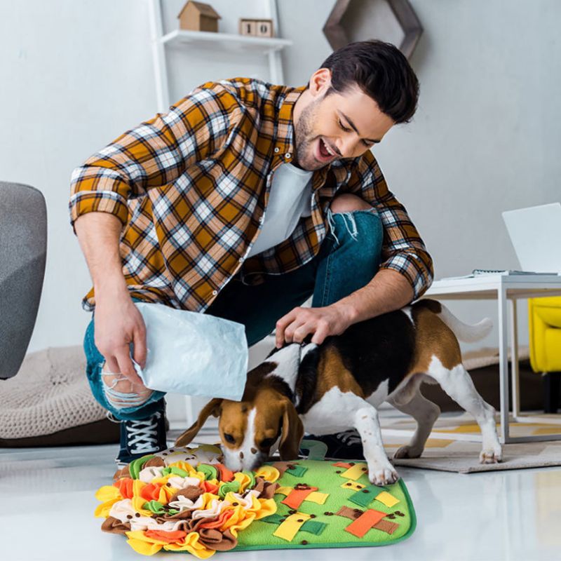 Pet Foraging Snuffle Mat | Playful Shape, Dual-Color Options – Ideal for Cats & Dogs