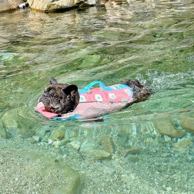 Dog Life Jacket – Safety Swim Vest with Rescue Handle, Adjustable Buckles, Multiple Sizes – view 8