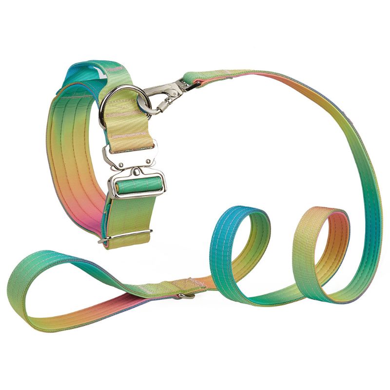 2pcs Premium Gradient Dog Collar Set – Stylish & High-Quality