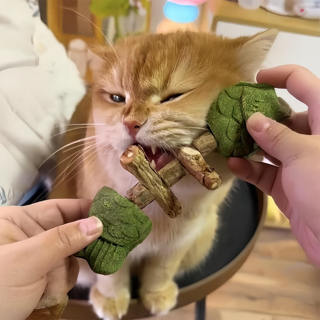 Catnip Fishbone Toy